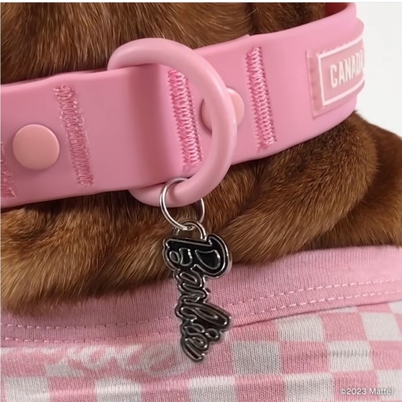 Barbie | Dog | Barbie Dog Collar Limited Edition | Poshmark